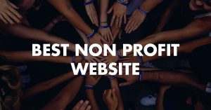 Best Non Profit Website