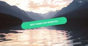 Best Webflow Website Examples