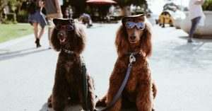 Weekly Growth Hacking Case Study 1.png