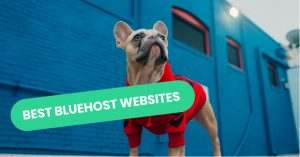 Best Bluehost Website Examples