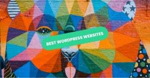 Best WordPress Website Examples