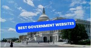 Government Website Examples