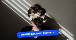 Website Examples Aesthetic