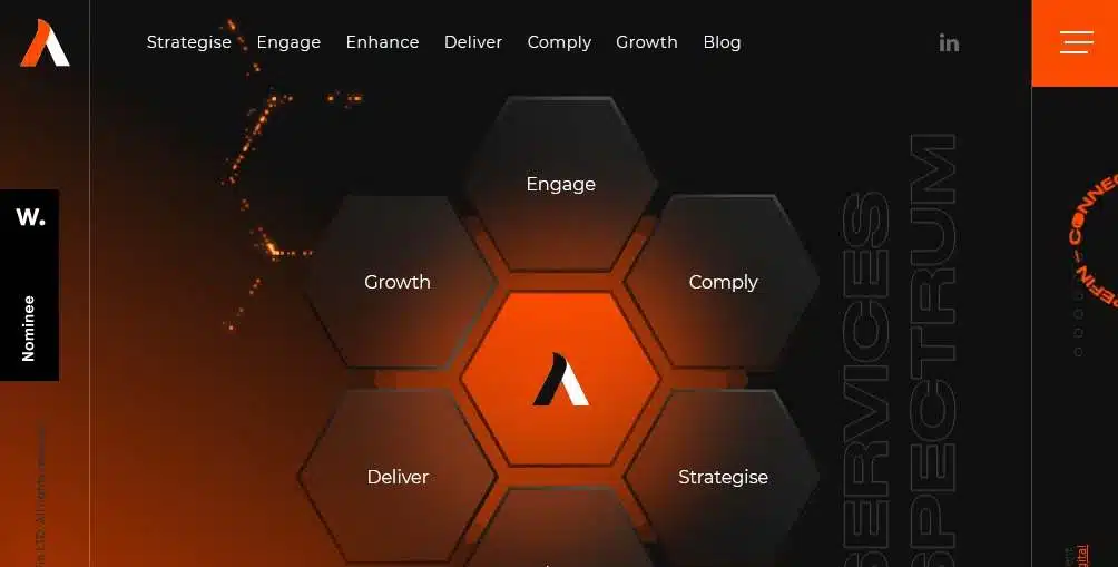 Welcome to Winona Squarespace Website Example