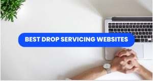 Drop Servicing Website Examples