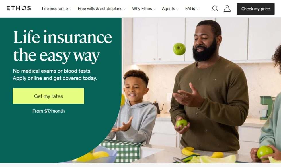 Best Clean Websites of 2025 | 57 Mind-Blowing Examples