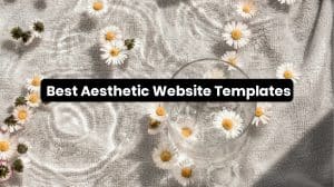 Best Aesthetic Website Templates_Featured Image