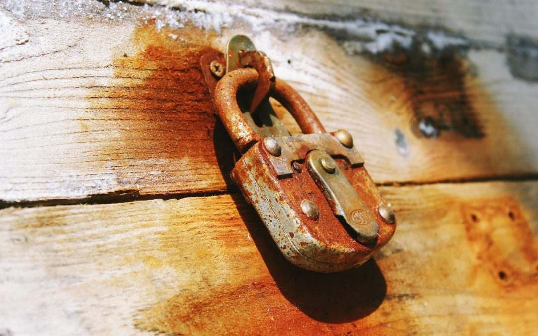 What website accessibility means and why it’s important