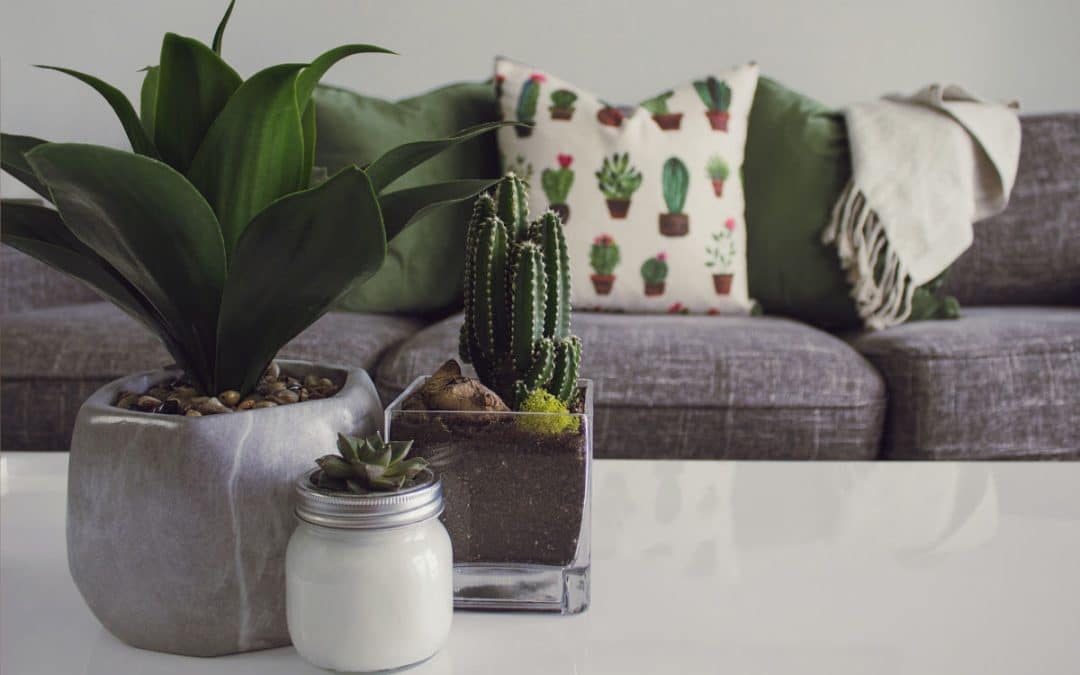 25 Best Home & Garden Websites