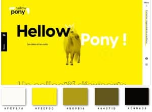 Summer Color Palette_Yellow Pony
