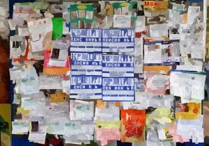 Browser Notification Statistics 2024_Featured Image