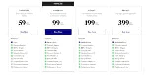 Elementor Pricing 2024