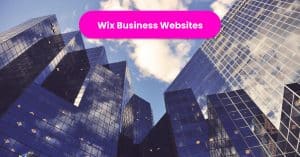 Wix Business Websites