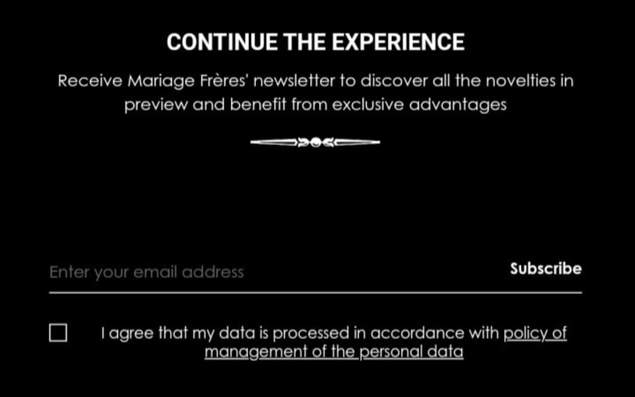Best Lead Magnet Websites_Mariage Fréres