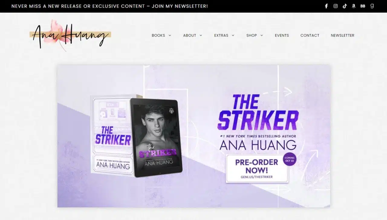 Syl Webdesign Website Example