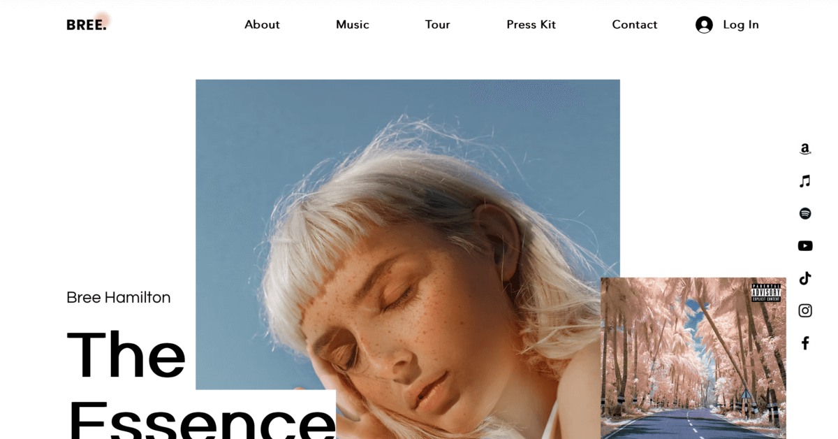 Bree - DJ Website Templates