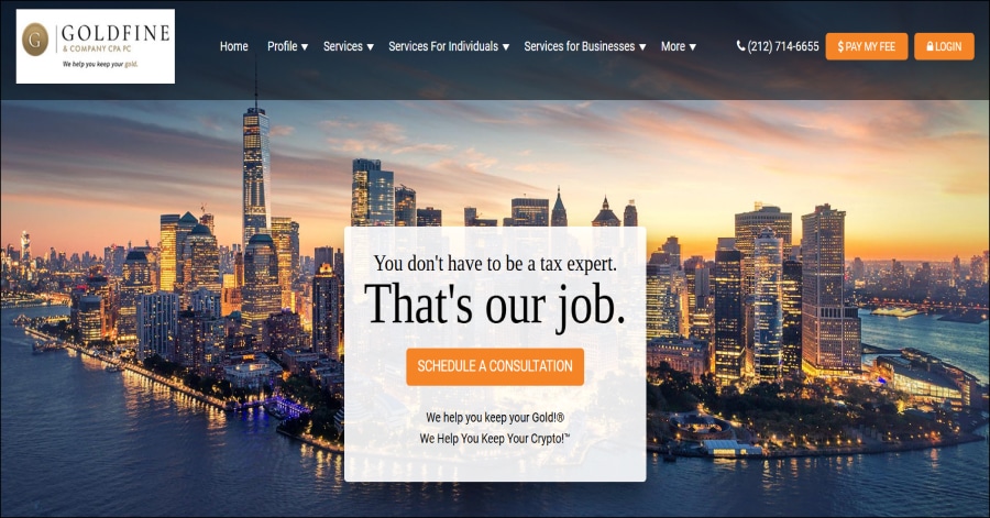 Goldfine - Accountant Websites
