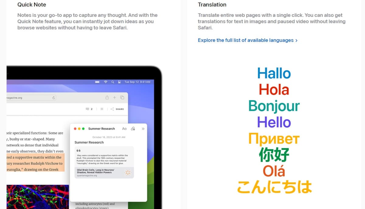 Safari Statistics_Languages