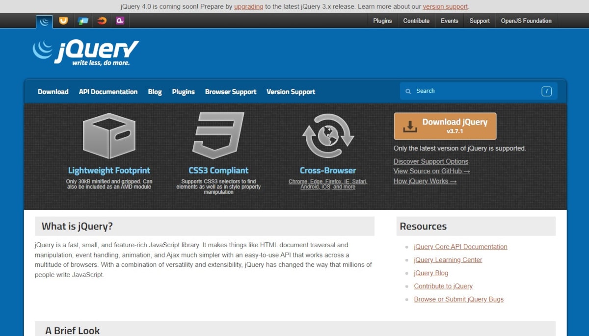 Developer Statistics_jQuery