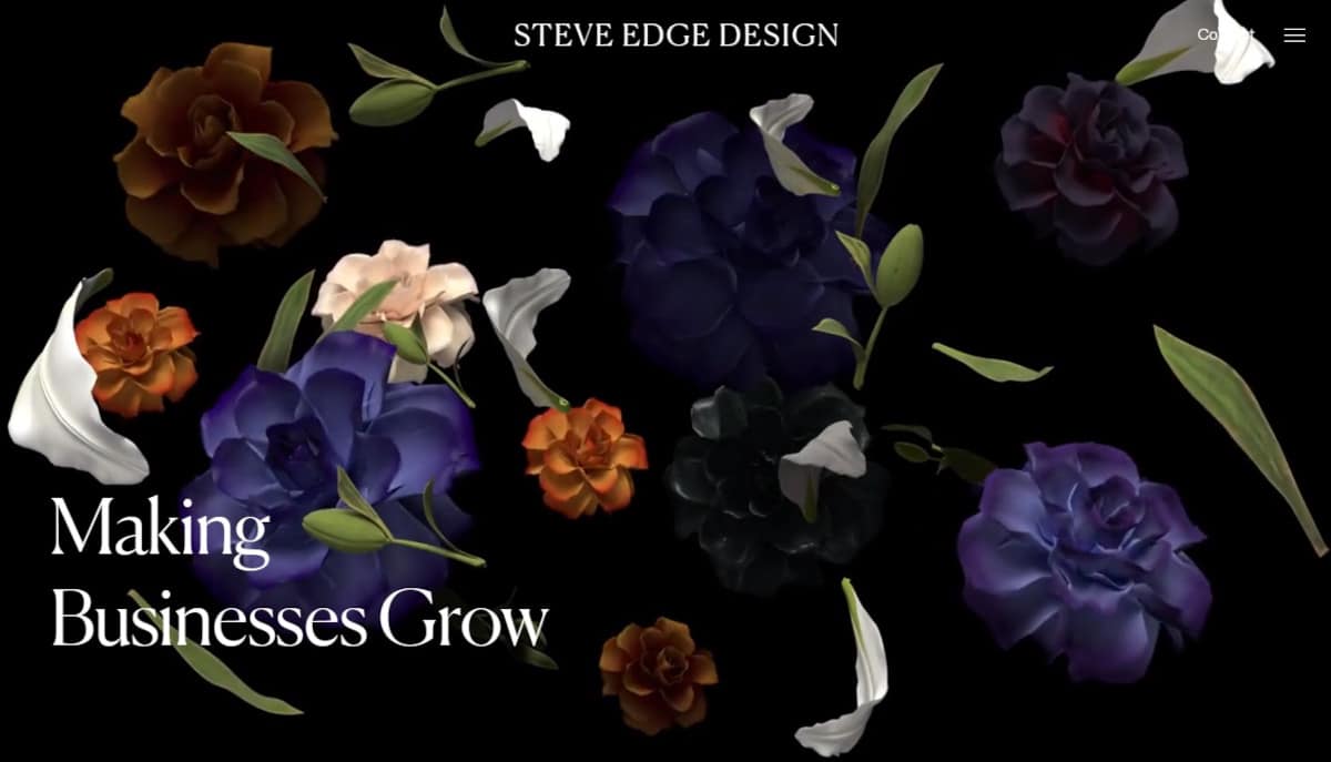 Best Dark Websites_Steve Edge Design