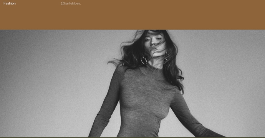 Karlie Kloss - Model Website Example