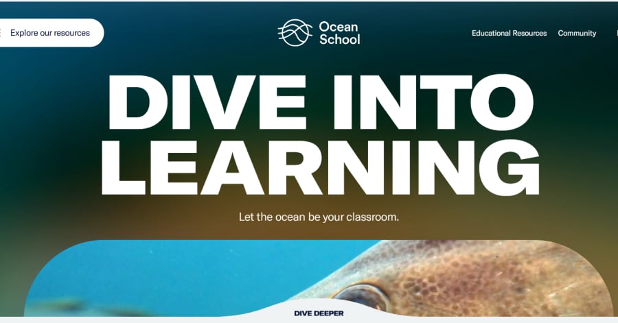 Ocean School - Interactive Website Examples