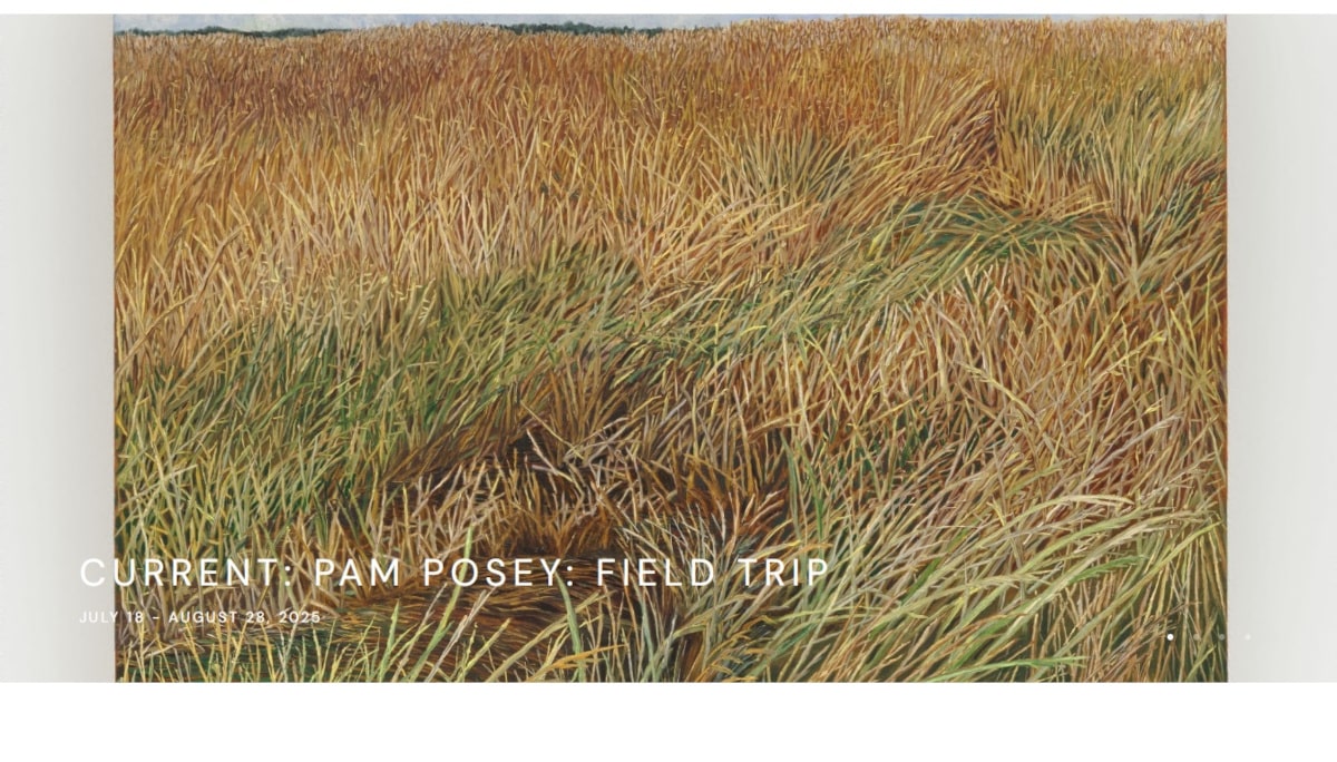 Best Gallery Websites_Diane Rosenstein Gallery