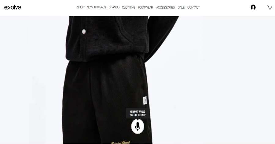 Max Montgomery Wix Website Example