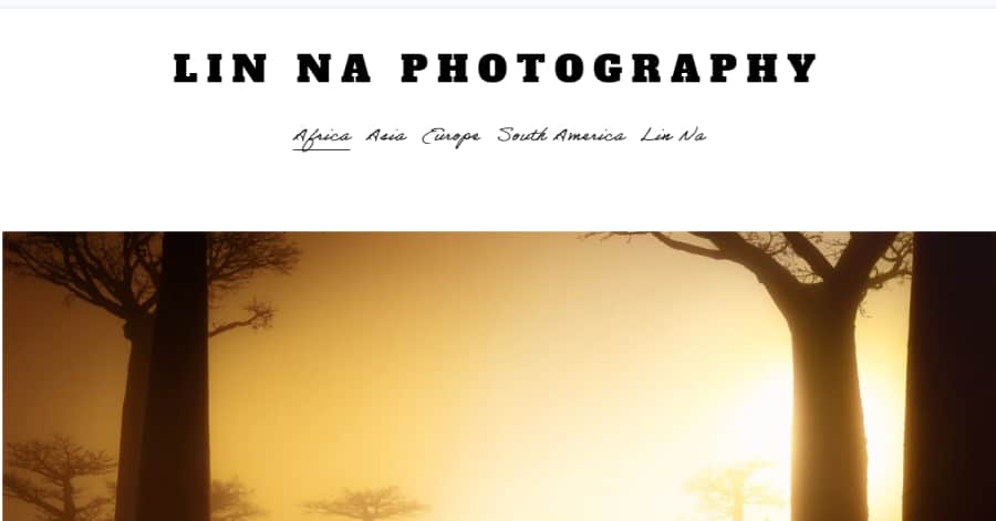 Calvin Pausania Wix Website Example