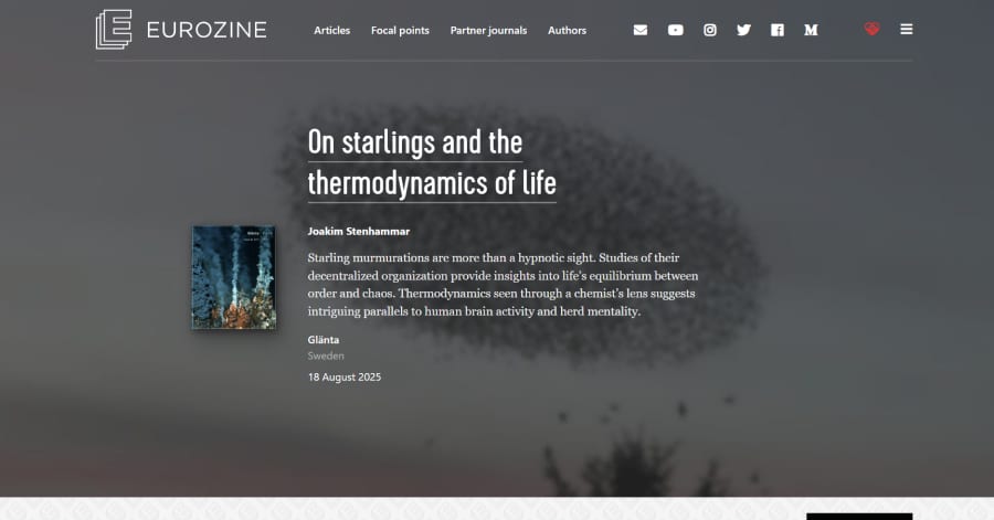 eurozine - culture website examples
