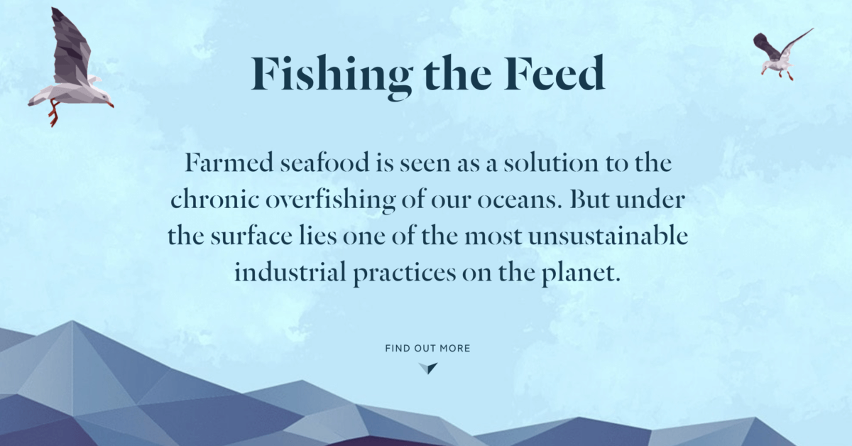 fishing the feed - playful websites examples