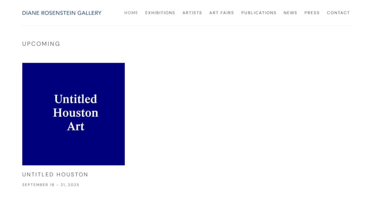 Best White Web Design_Diane Rosenstein Gallery