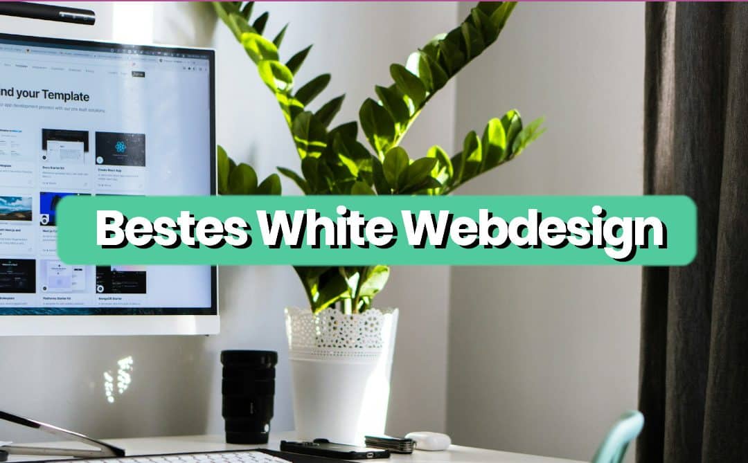 Bestes White Webdesign 2025 | 42 Beispiele