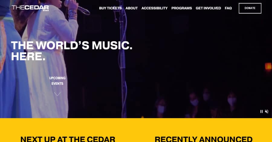 Ira Pavlona - Model Website Examples