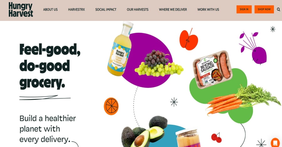 Soilboy - Squarespace Business Websites