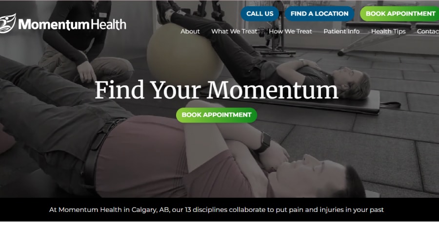 Momentum Health - Physiotherapy Website Examples