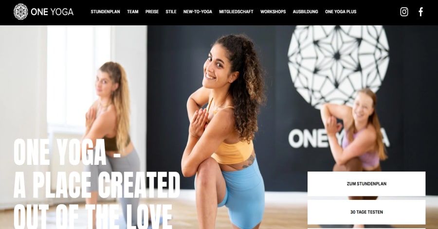 Kitten Lady - Squarespace Chartiy Website Examples