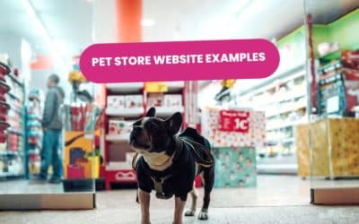 Best Pet Store Website Examples of 2025 🚀