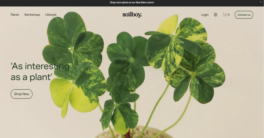 Supernatural - Squarespace Business Websites