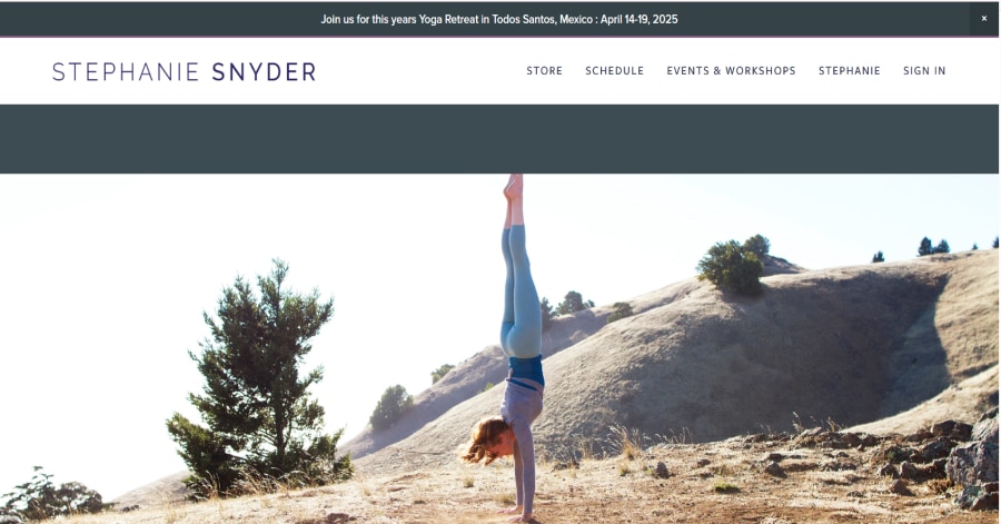 Sean Casey Animal Rescue - Squarespace Chartiy Website Examples