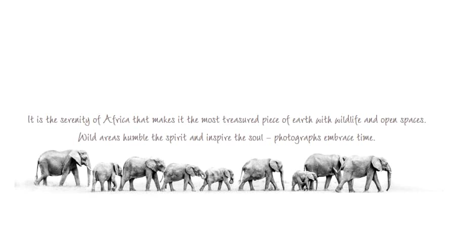 Couper - Wix Photography Example Adam Mccain Wix Website Example