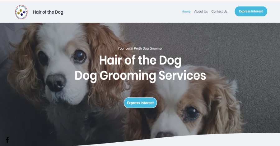 Hair of the Dog - Wix Landing Page Hair of the Dog - Wix Website Example