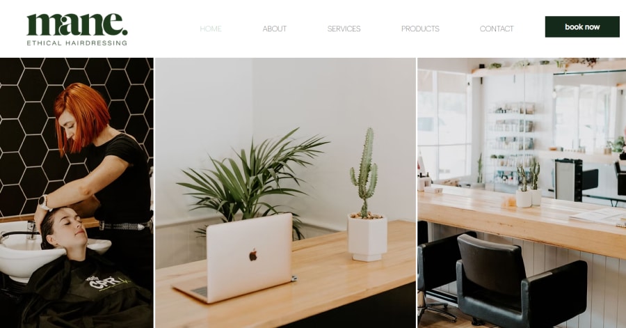 Mane - Wix Business Example Leesha Williams Wix Website Example