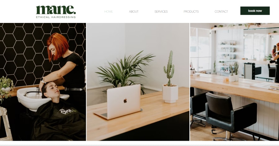 Mane - Wix Landing Page Mane - Wix Website Example