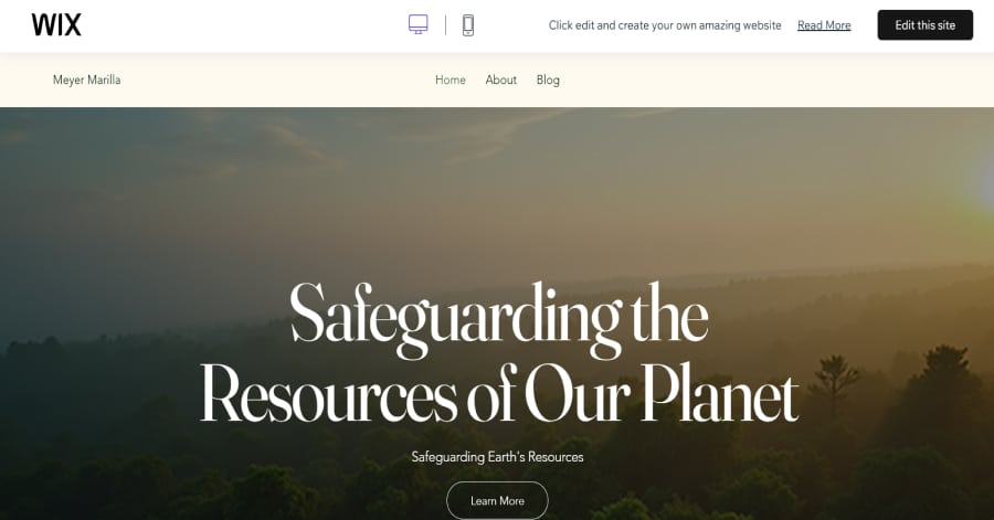 Meyer Marilla - Non Profit Website Templates Charity Donation Template Website