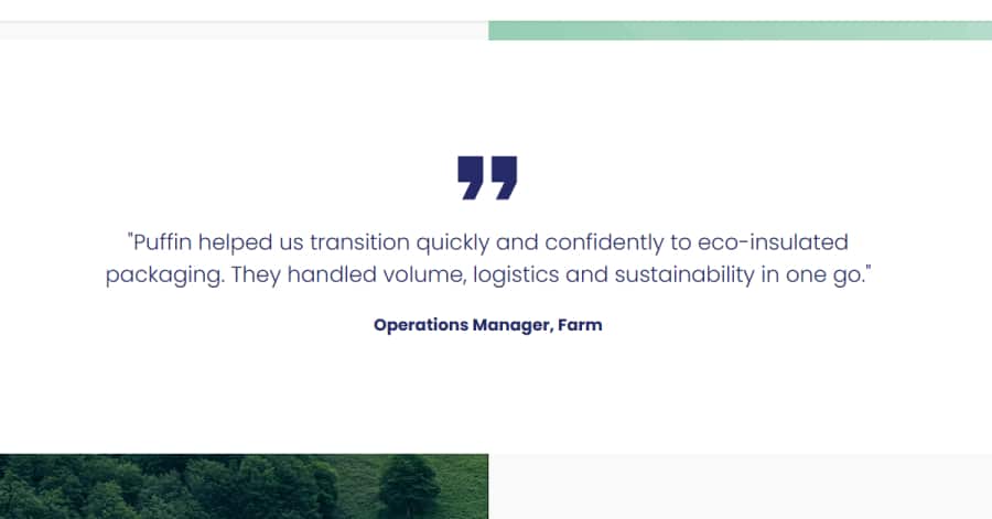 Puffin - Website Testimonial Example Barbara Lim - Model Website Examples
