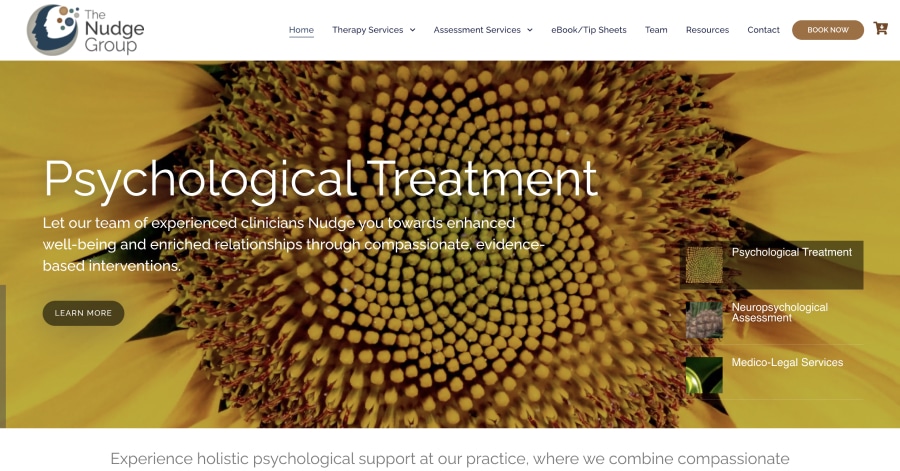 The Nudge Group - Healthcare Website Example The Nudge Group - Healthcare Website Example