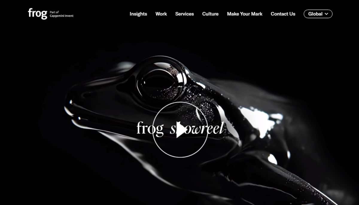 Best Advisor Websites_Frog