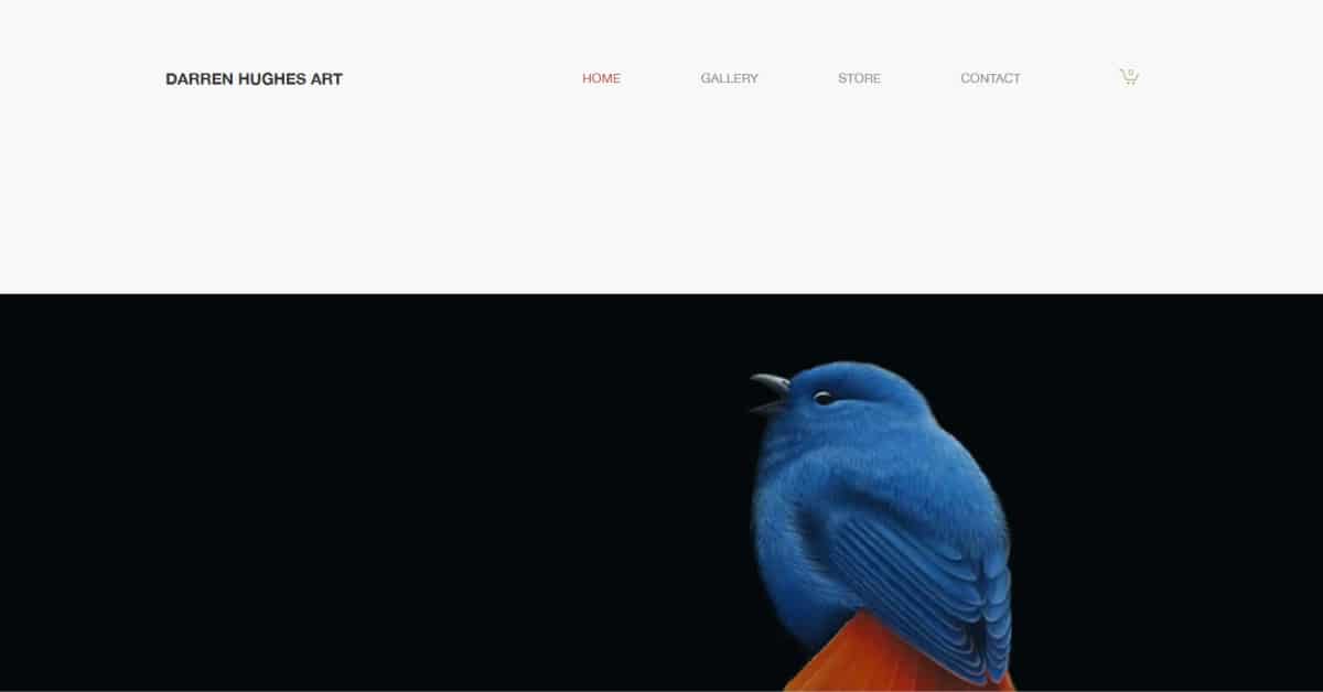Darren Hughes - Wix Website Tobias Becs – Wix Website Example