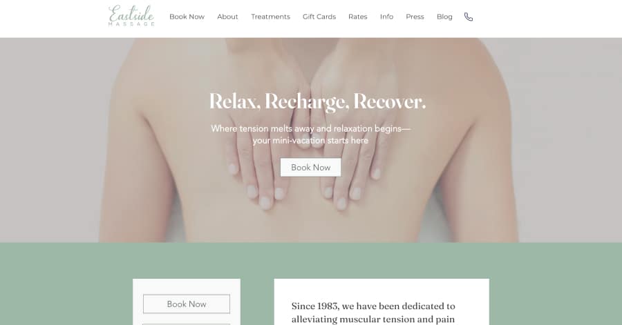 sex vibration Muscle relief and recovery device main image 1